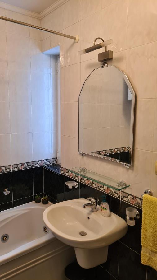 The View Apartment Vracar Belgrado Esterno foto